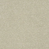 Abingdon Stainfree Twist Carpet Exen Flooring