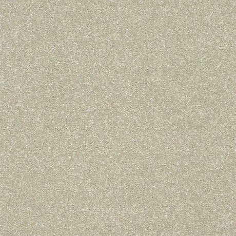 Abingdon Stainfree Twist Carpet Exen Flooring