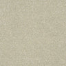 Abingdon Stainfree Twist Carpet Exen Flooring
