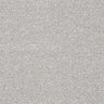 Abingdon Stainfree Twist Carpet Exen Flooring