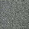 Abingdon Stainfree Twist Carpet Exen Flooring