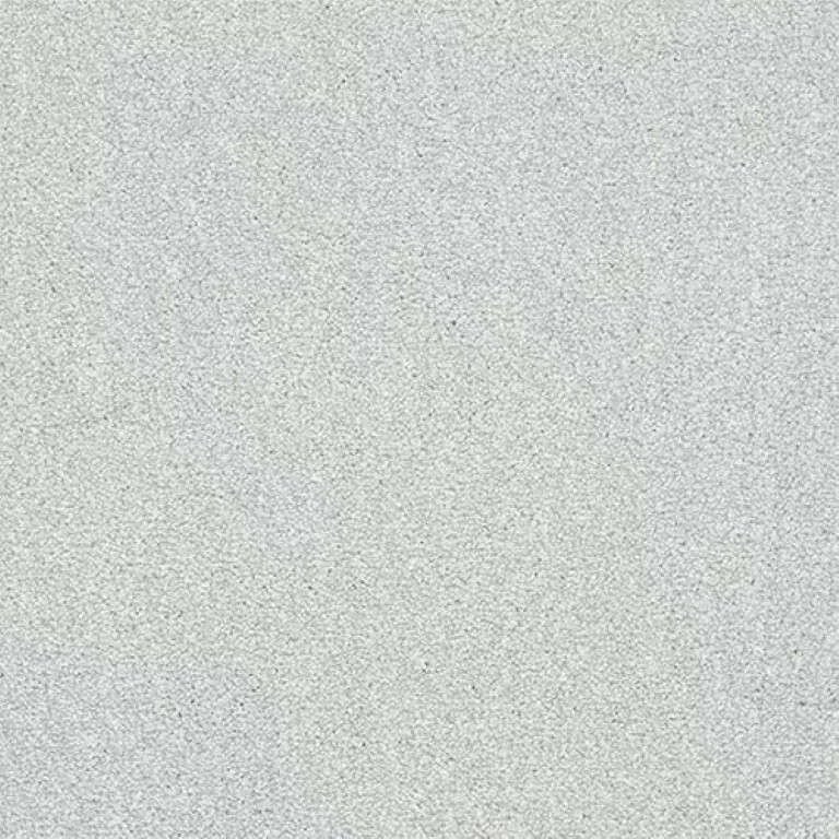 Abingdon Stainfree Twist Carpet Exen Flooring