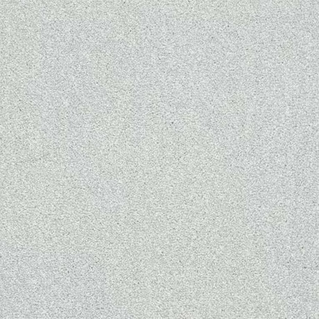 Abingdon Stainfree Twist Carpet Exen Flooring