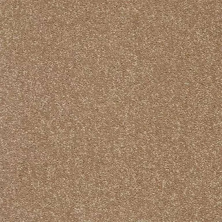 Abingdon Stainfree Twist Carpet Exen Flooring