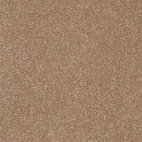 Abingdon Stainfree Twist Carpet Exen Flooring