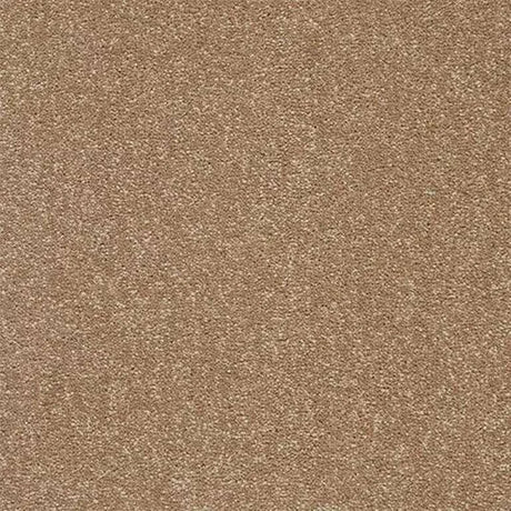 Abingdon Stainfree Twist Carpet Exen Flooring