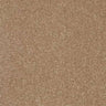 Abingdon Stainfree Twist Carpet Exen Flooring