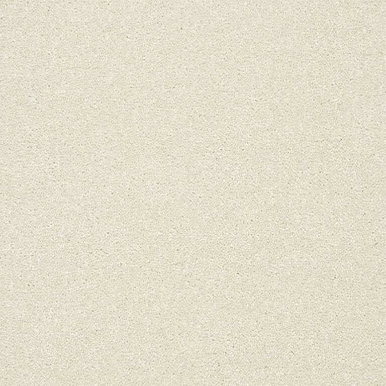 Abingdon Stainfree Twist Carpet Exen Flooring