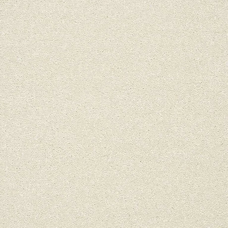 Abingdon Stainfree Twist Carpet Exen Flooring