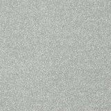 Abingdon Stainfree Twist Carpet Exen Flooring