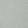 Abingdon Stainfree Twist Carpet Exen Flooring