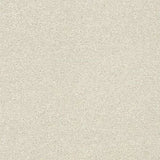 Abingdon Stainfree Twist Carpet Exen Flooring