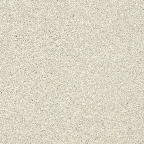 Abingdon Stainfree Twist Carpet Exen Flooring