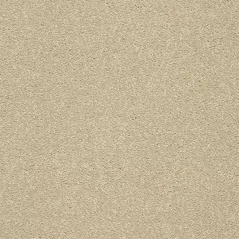 Abingdon Stainfree Twist Carpet Exen Flooring