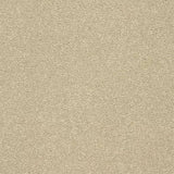 Abingdon Stainfree Twist Carpet Exen Flooring