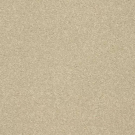 Abingdon Stainfree Twist Carpet Exen Flooring