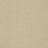 Abingdon Stainfree Twist Carpet Exen Flooring