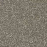 Abingdon Stainfree Twist Carpet Exen Flooring