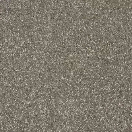 Abingdon Stainfree Twist Carpet Exen Flooring