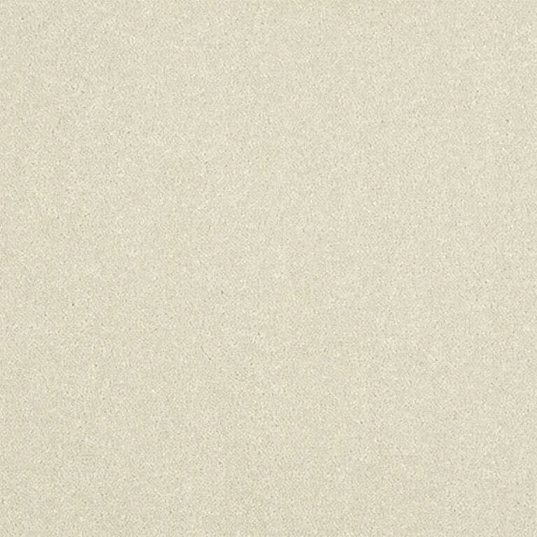 Abingdon Stainfree Ultra Carpet Exen Flooring