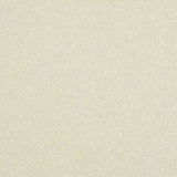 Abingdon Stainfree Ultra Carpet Exen Flooring