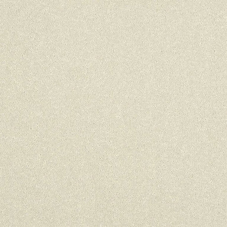 Abingdon Stainfree Ultra Carpet Exen Flooring