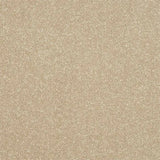 Abingdon Stainfree Ultra Carpet Exen Flooring