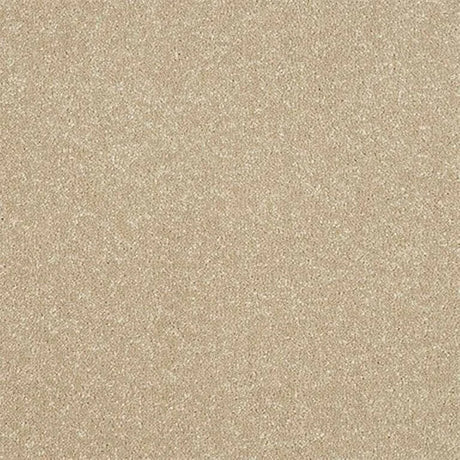 Abingdon Stainfree Ultra Carpet Exen Flooring
