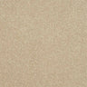 Abingdon Stainfree Ultra Carpet Exen Flooring