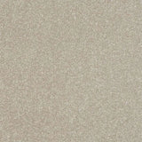 Abingdon Stainfree Ultra Carpet Exen Flooring