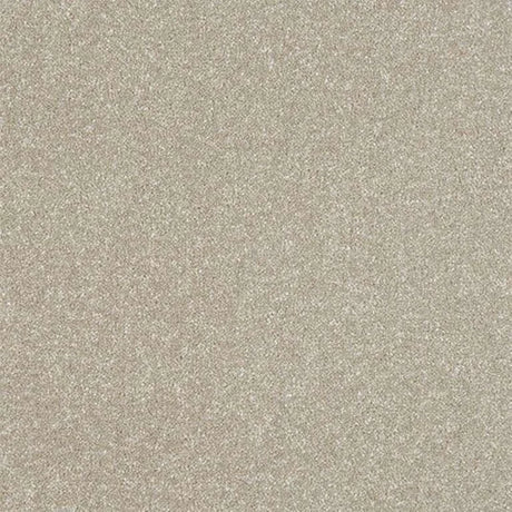 Abingdon Stainfree Ultra Carpet Exen Flooring