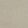 Abingdon Stainfree Ultra Carpet Exen Flooring