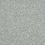 Abingdon Stainfree Ultra Carpet Exen Flooring