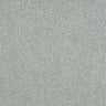 Abingdon Stainfree Ultra Carpet Exen Flooring