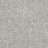 Abingdon Stainfree Ultra Carpet Exen Flooring