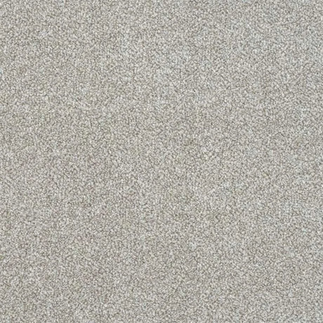 Abingdon Stainfree Ultra Carpet Exen Flooring