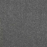 Abingdon Stainfree Ultra Carpet Exen Flooring