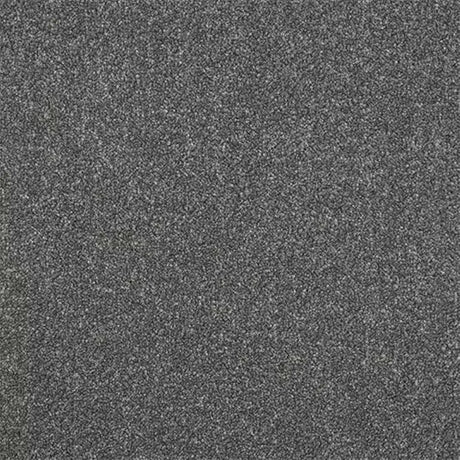 Abingdon Stainfree Ultra Carpet Exen Flooring