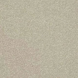 Abingdon Stainfree Ultra Carpet Exen Flooring