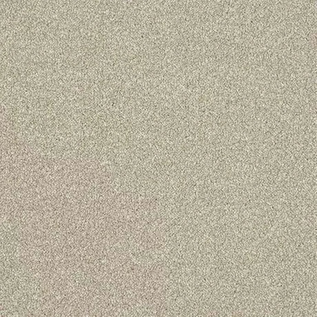 Abingdon Stainfree Ultra Carpet Exen Flooring