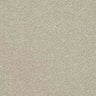 Abingdon Stainfree Ultra Carpet Exen Flooring