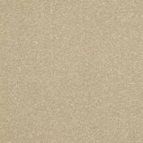 Abingdon Stainfree Ultra Carpet Exen Flooring