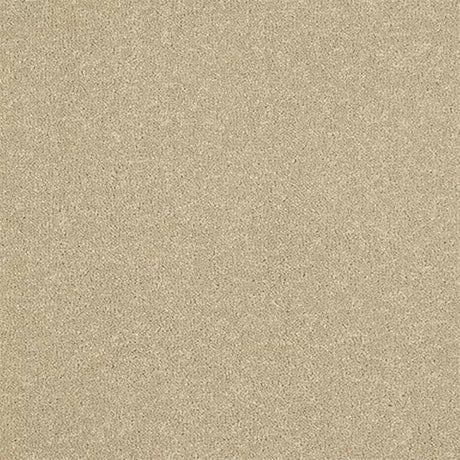 Abingdon Stainfree Ultra Carpet Exen Flooring