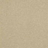 Abingdon Stainfree Ultra Carpet Exen Flooring