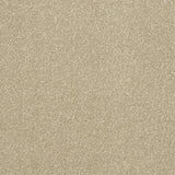 Abingdon Stainfree Ultra Carpet Exen Flooring
