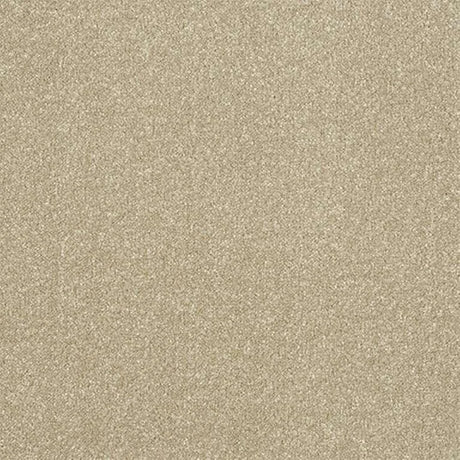 Abingdon Stainfree Ultra Carpet Exen Flooring