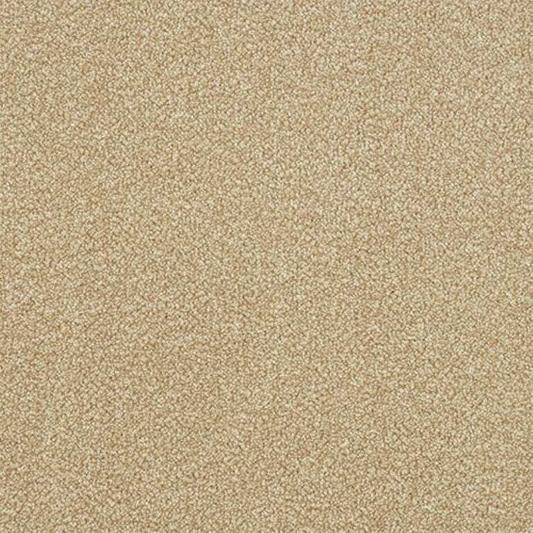 Abingdon Stainfree Ultra Carpet Exen Flooring