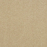 Abingdon Stainfree Ultra Carpet Exen Flooring