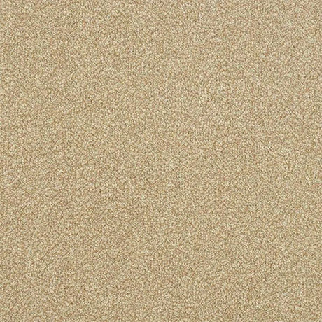 Abingdon Stainfree Ultra Carpet Exen Flooring