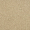 Abingdon Stainfree Ultra Carpet Exen Flooring